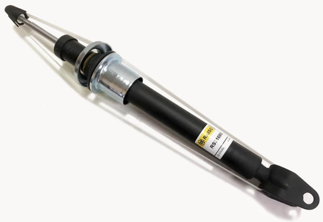 RS316950 Raiso Amortiguador frontal