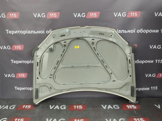 PVW20031A Signeda Capó delantero
