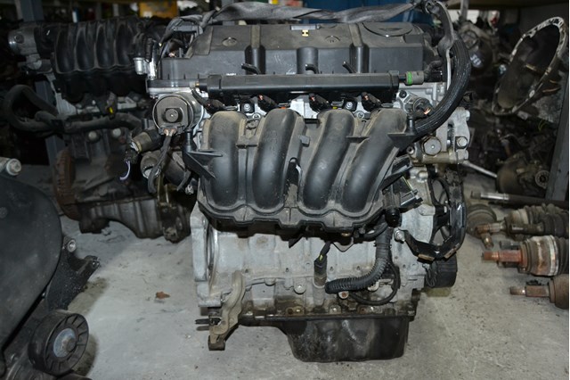 Comprar 8F01 Peugeot/Citroen Motor completo