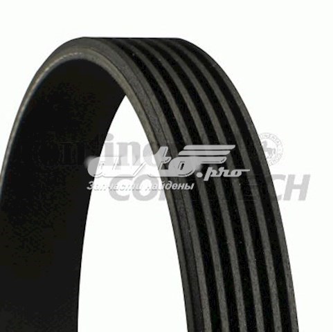 Correa accesorios Continental/Siemens 6PK1973
