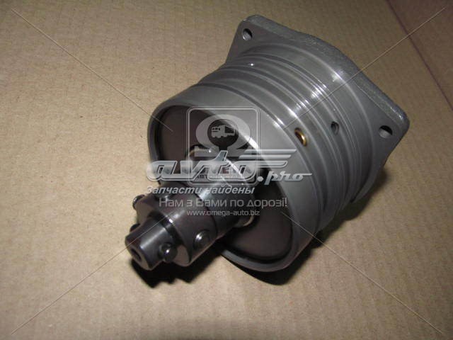 Elemento de émbolo de la bomba de inyección 1468434056 Bosch