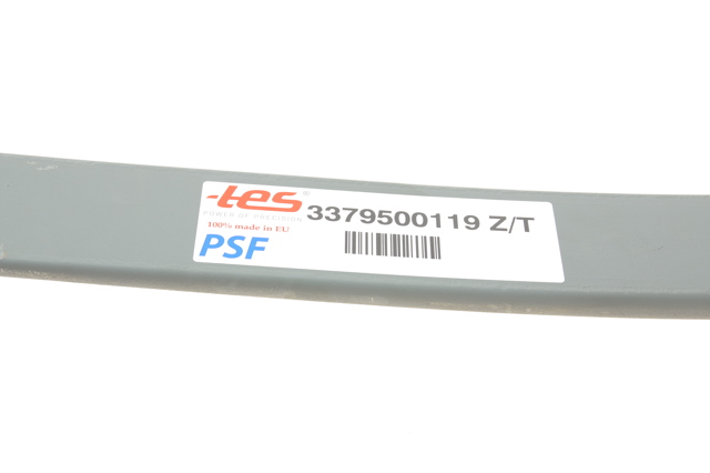 Ballesta, eje trasera  TES 3379500119ZT precio, desde 138,53 EUR