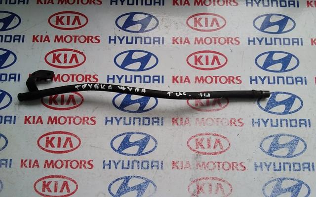 2661227251 Hyundai/Kia