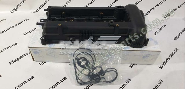 Tapa de balancines 224102B100 KAP
