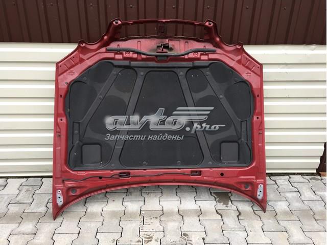 664003C800 Hyundai/Kia Capó delantero