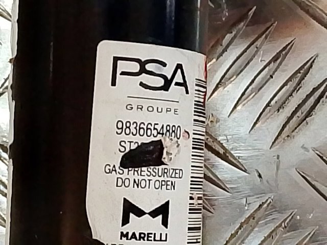 9836654880 Peugeot/Citroen Amortiguador eje delantero derecha