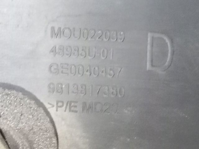 9813817380 Peugeot/Citroen 