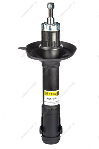 Amortiguador RS170381 Raiso