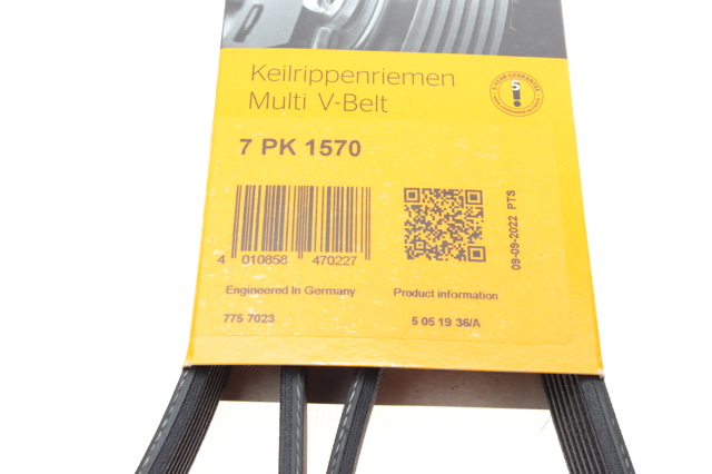 7PK1570 Continental/Siemens Correa poly v