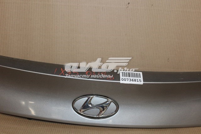 Moldura de la puerta trasera 873712S000 Hyundai/Kia