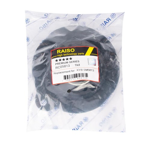 Soporte del amortiguador delantero izquierdo Raiso RC05813 precio, desde 47,19 EUR