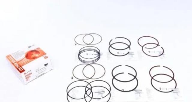  AMP/Paradowscy PRCHE491405025SET