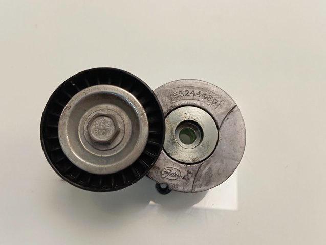 55244469 Fiat/Alfa/Lancia Tensor de correa de alternador