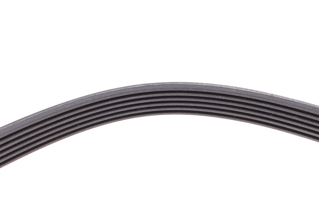 6PK1453 Continental/Siemens Correa poly v