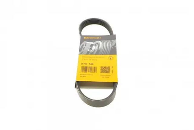 5PK585 Continental/Siemens Correa poly v