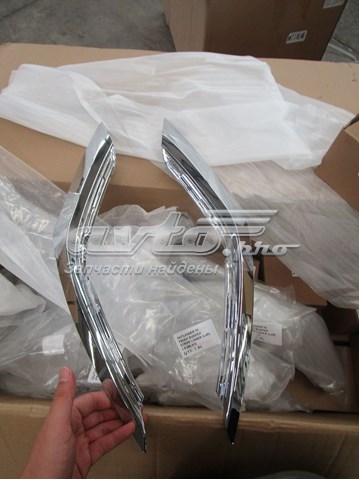 Moldura de paragolpes delantero izquierdo  FPS FP4827933