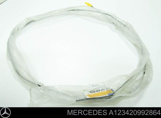 Tubo de freno delantero derecho Mercedes A123420992864