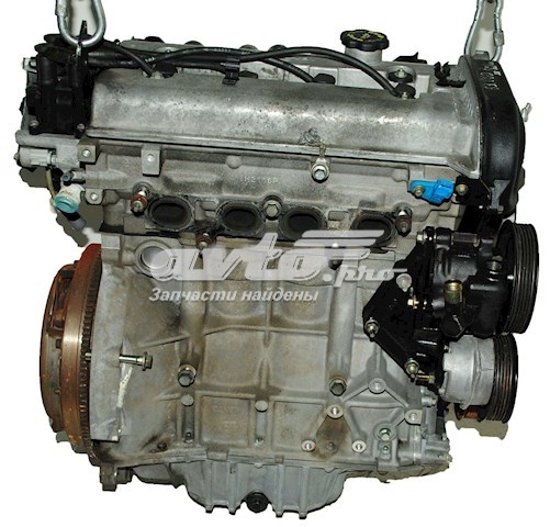 DHF Ford motor completo