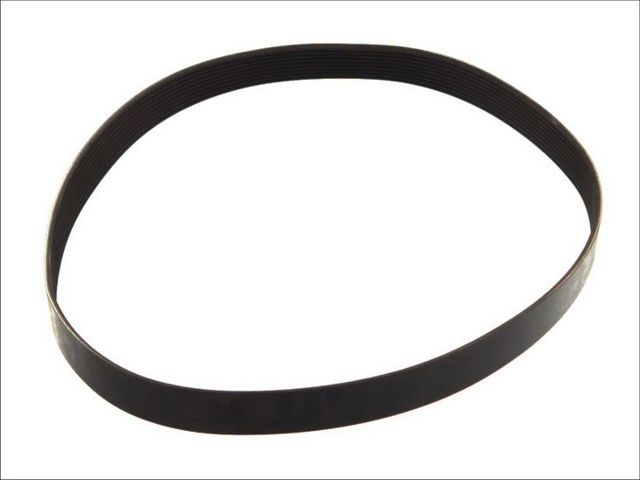 9PK2871 Continental/Siemens Correa poly v
