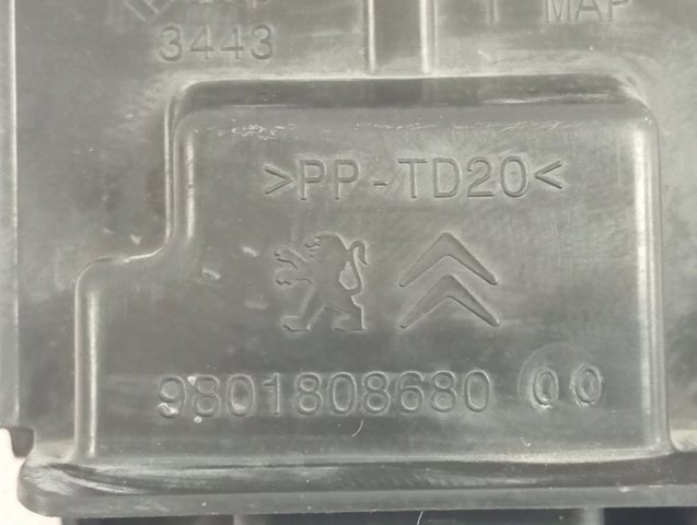  Peugeot/Citroen 9801808680