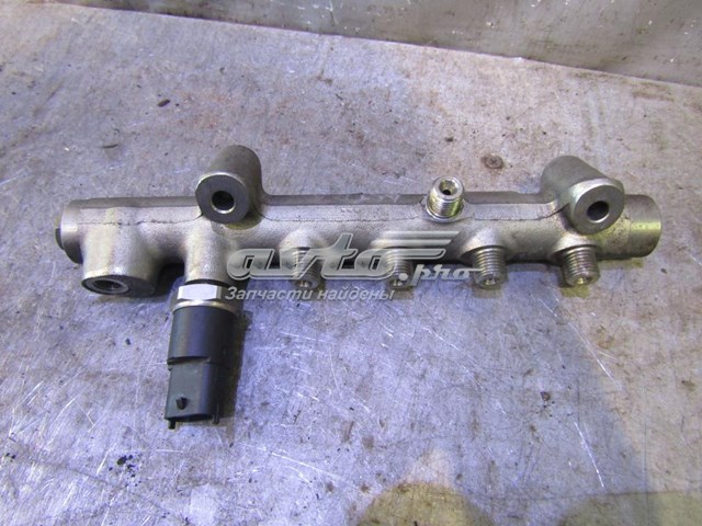 97313863 Peugeot/Citroen rampa de inyectores