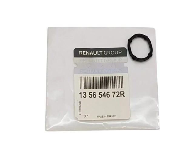 135654672R Renault (RVI)