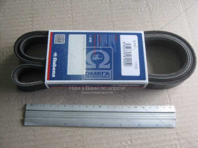 Correa accesorios Vika 6PK1703