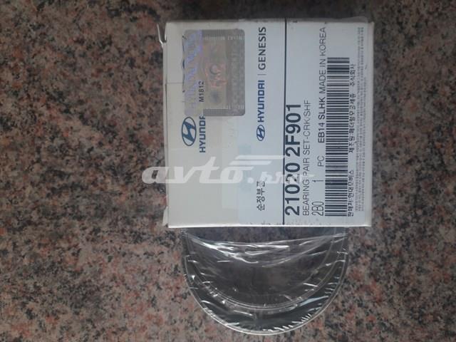 210202F901 Hyundai/Kia juego de cojinetes de cigüeñal, estándar, (std)