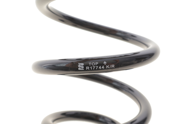 R17744 Eibach Muelle trasero
