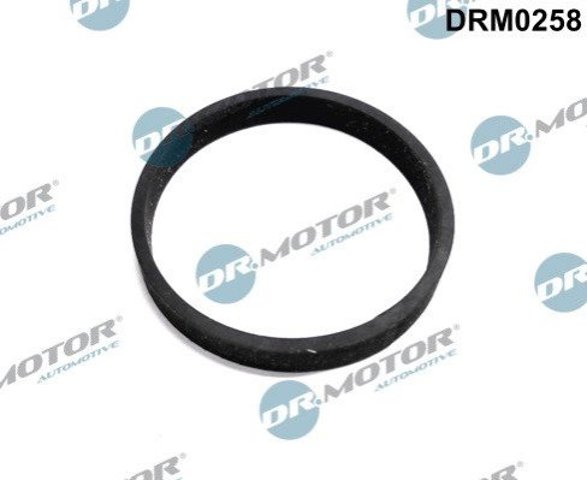 Comprar DRM0258 Dr.motor Conducto de aire, salida del filtro de aire