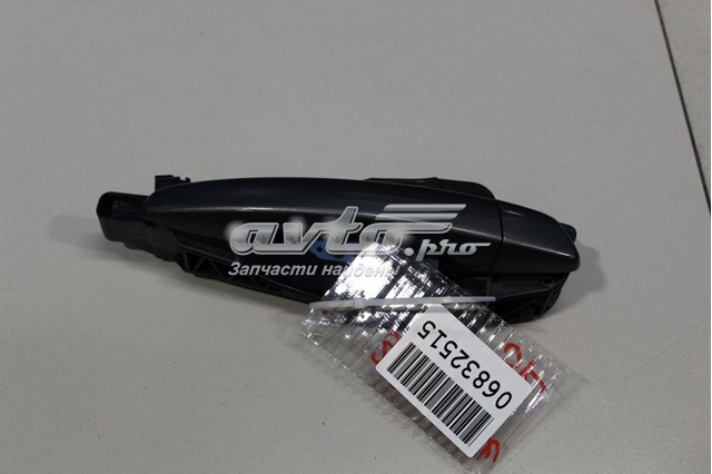 Manija exterior derecha de puerta trasera Peugeot/Citroen 1609239680 precio, desde 39,20 EUR