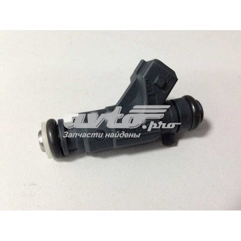 SMW300436 Chery inyector de combustible