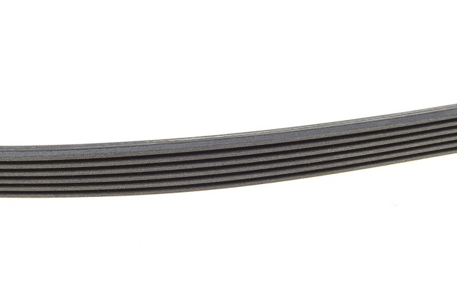 6PK1432 Continental/Siemens Correa poly v