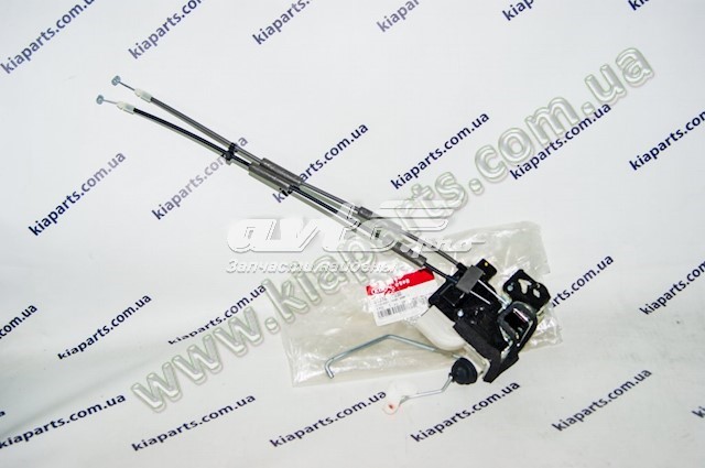 Cerradura delantera izquierda Hyundai/Kia 813101Y030