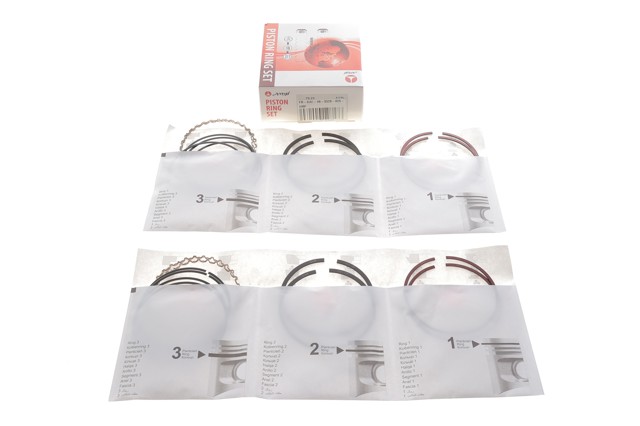 Comprar PRDAE493538025SET AMP/Paradowscy Juego de aros de pistón para motor, sobremedida (+0,25 mm)
