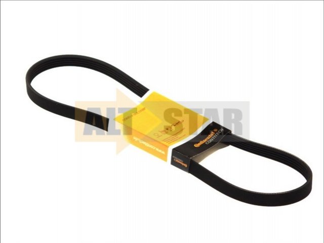 5PK1173 Continental/Siemens Correa poly v