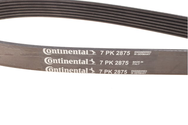 Correa de transmisión trapezoidal Continental/Siemens 7PK2875 precio, desde 76,00 EUR