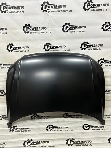 Capó del motor Signeda PVG20078A precio, desde 360,10 EUR