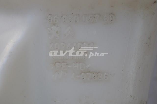  Peugeot/Citroen 9685005780