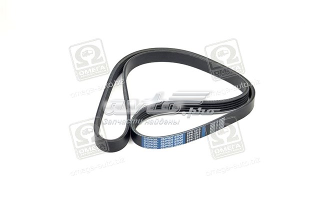 Correa accesorios Dongil 5PK1210