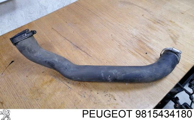 9815434180 Peugeot/Citroen tubo flexible de aire de sobrealimentación inferior