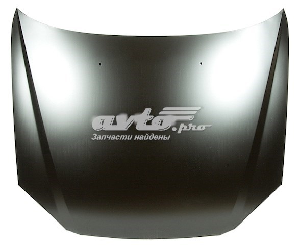 Capó del motor FPS FP1705280 precio, desde 204,48 EUR