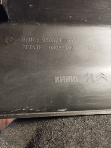 Comprar 9808748977 Peugeot/Citroen 