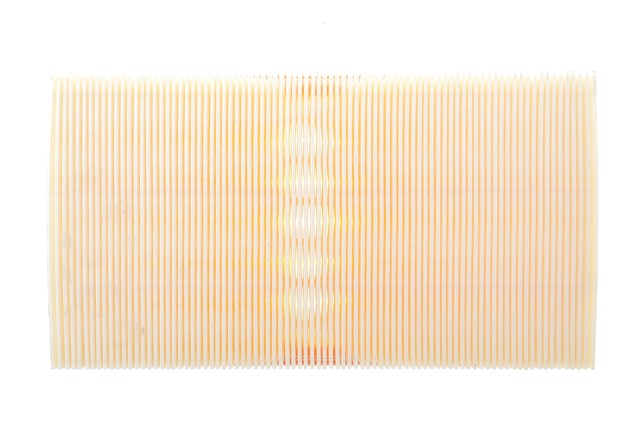 Filtro de aire A1712 Purflux