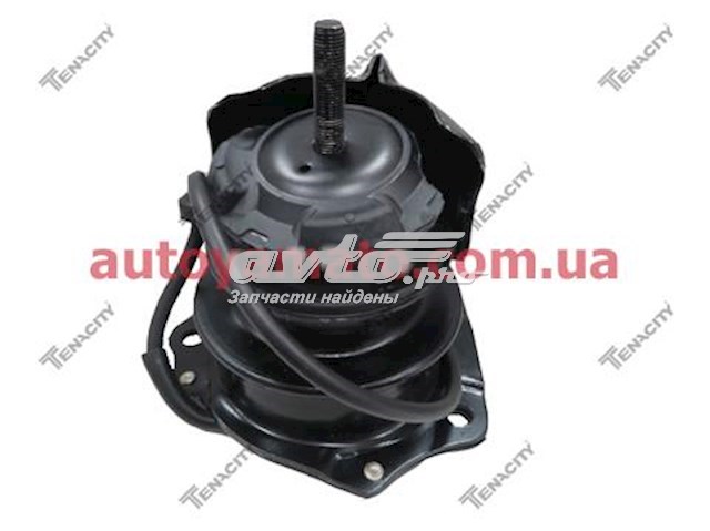 Soporte delantero derecho del motor Tenacity AWSHO1049 precio, desde 41,51 EUR