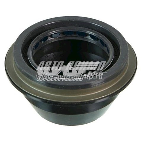 SL260034 Timken