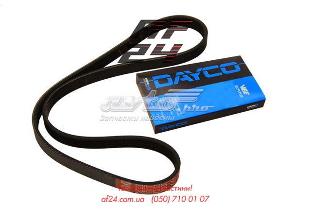 Correa de alternador 5PK650 Dayco