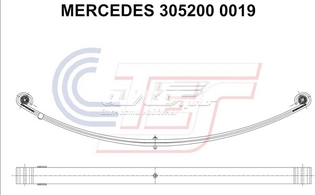 3052000019 TES ballesta delantera