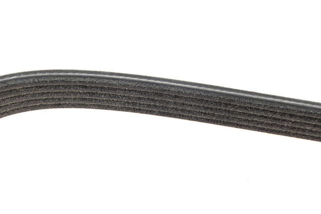 Correa de alternador 5DPK1550 Dayco