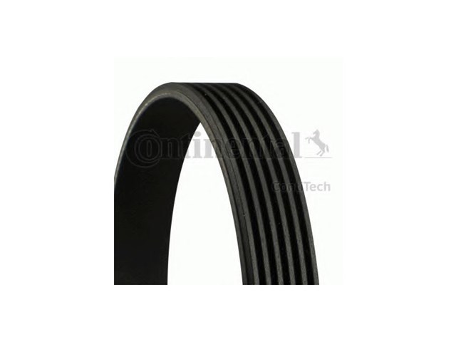 6PK1033ELAST Continental/Siemens Correa poly v